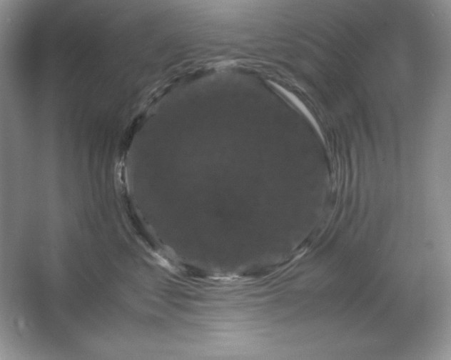 X0000066110621200603241546