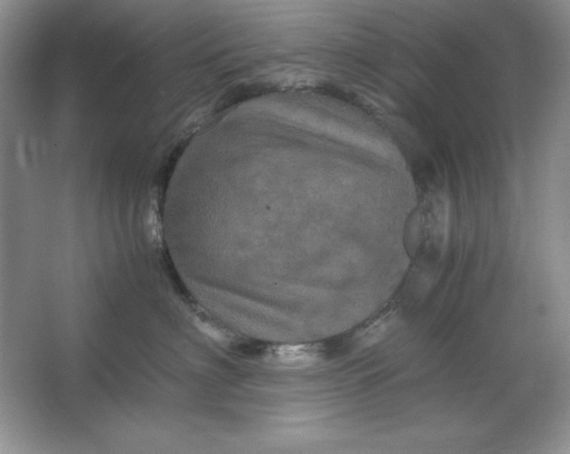 X0000066110622200603241546