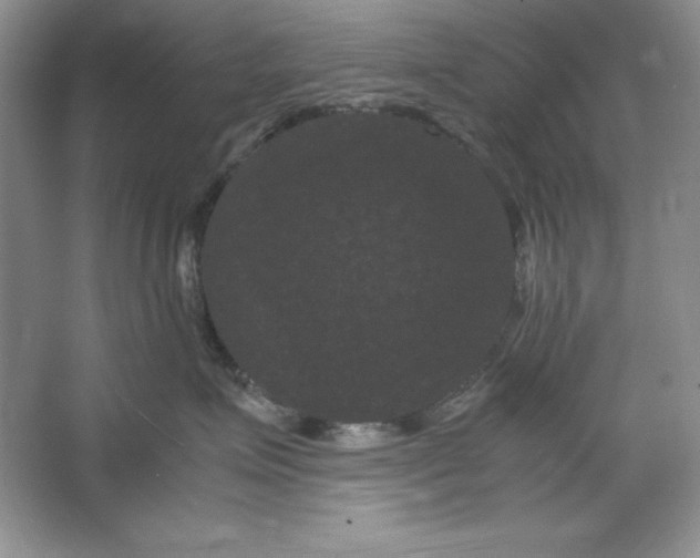 X0000066110623200603241546