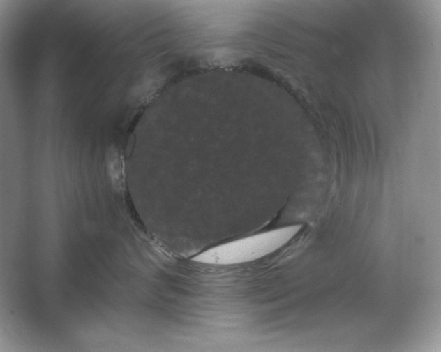 X0000066110624200603241546