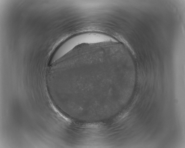 X0000066110625200603241545