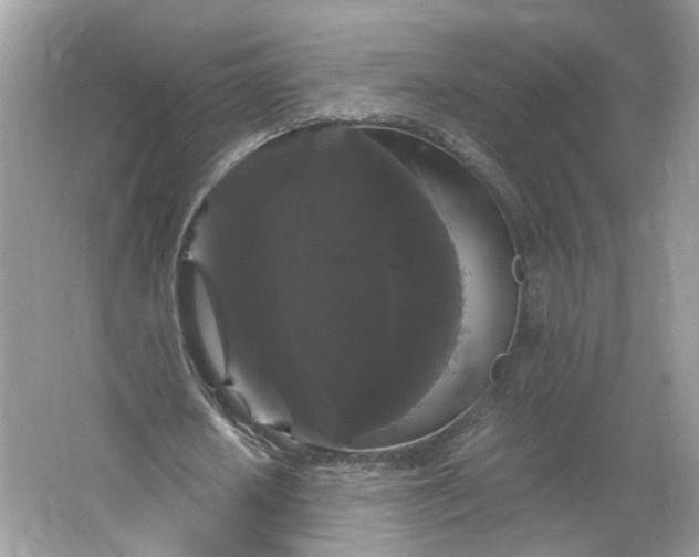 X0000066110626200603241545