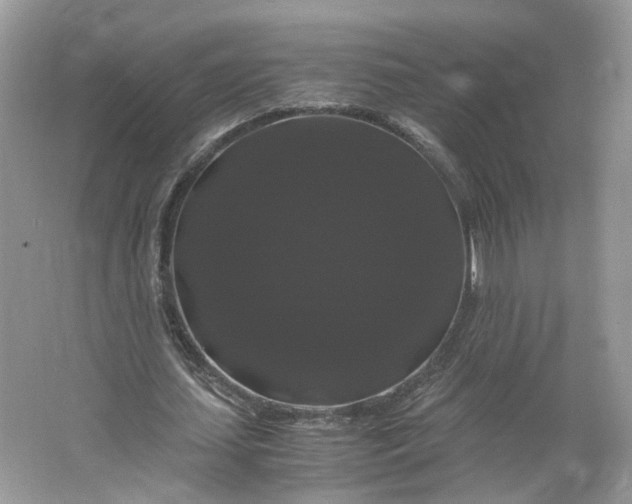 X0000066110627200603241545
