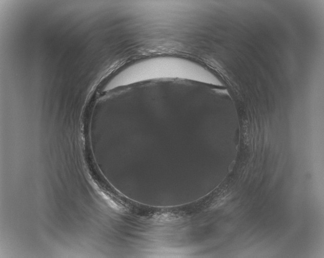 X0000066110634200603241545