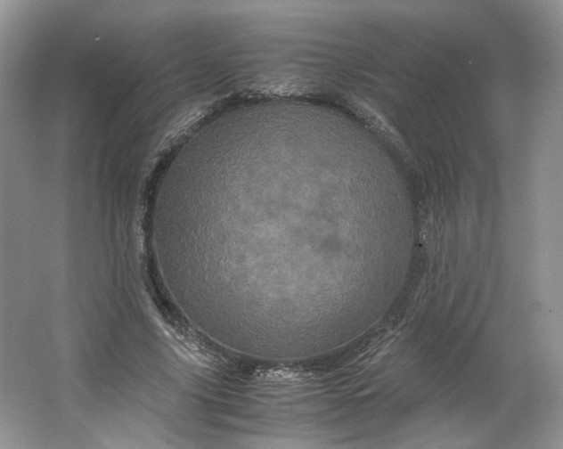 X0000066110635200603241545