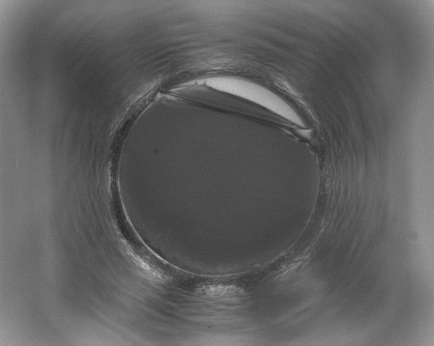 X0000066110637200603241545