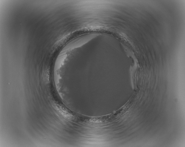X0000066110640200603241545
