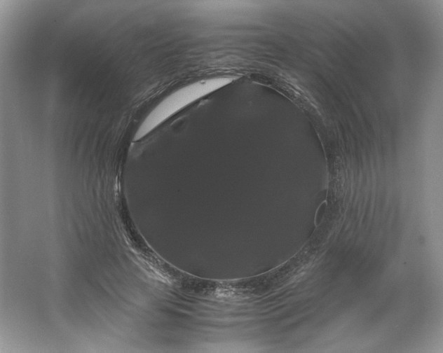 X0000066110641200603241545