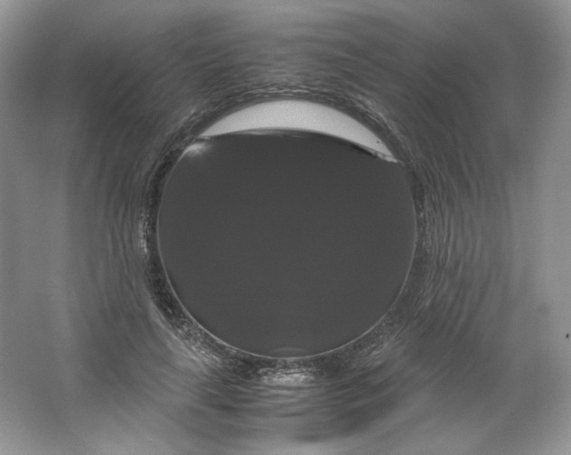 X0000066110643200603241545