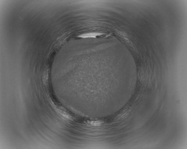 X0000066110645200603241545