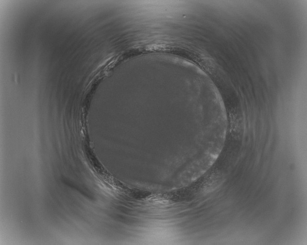 X0000066110648200603241545