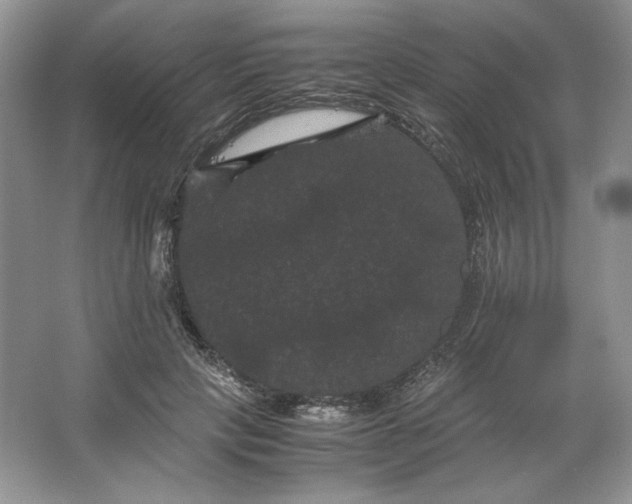 X0000066110649200603241545