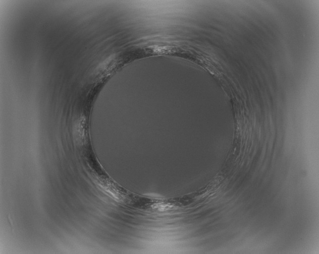 X0000066110650200603241545