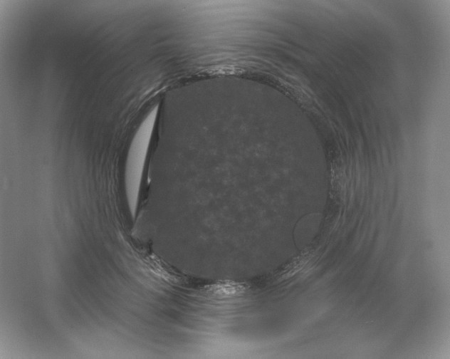 X0000066110652200603241545