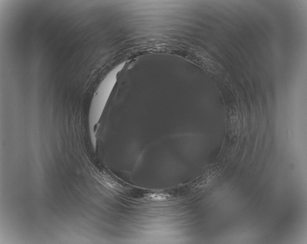 X0000066110654200603241545