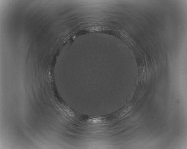 X0000066110655200603241545