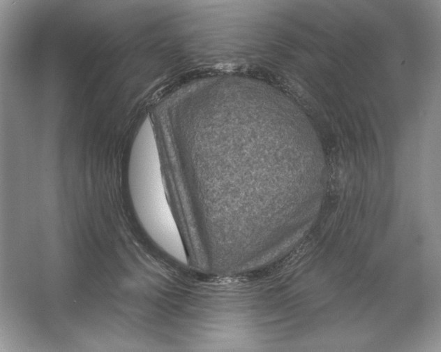 X0000066110656200603241545