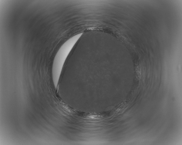 X0000066110657200603241545
