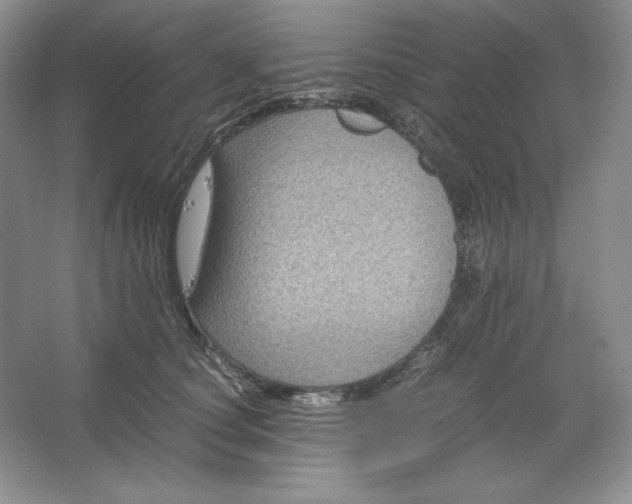 X0000066110660200603241545