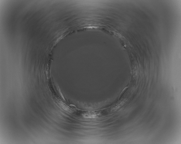 X0000066110661200603241545