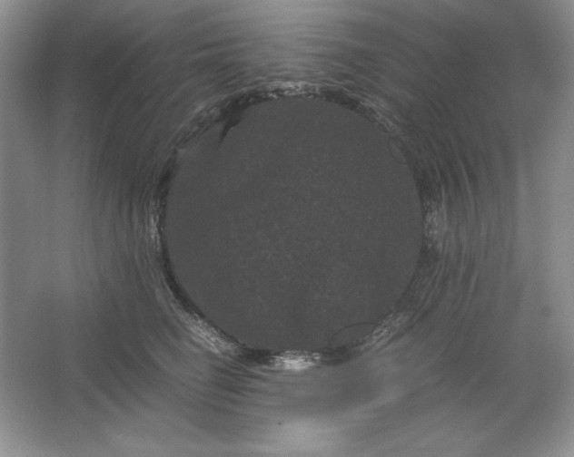 X0000066110662200603241545