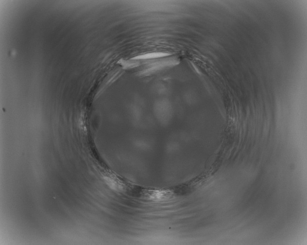 X0000066110663200603241545