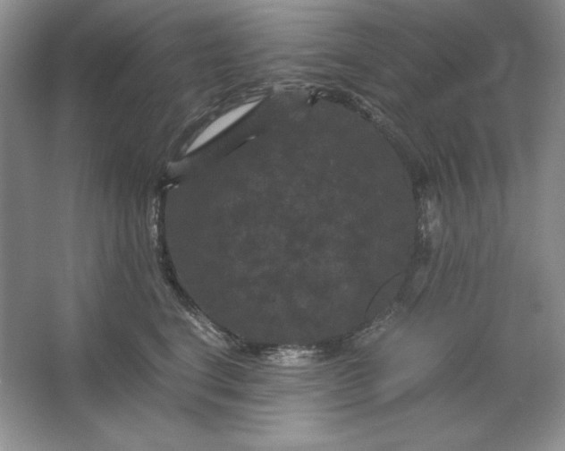 X0000066110664200603241545