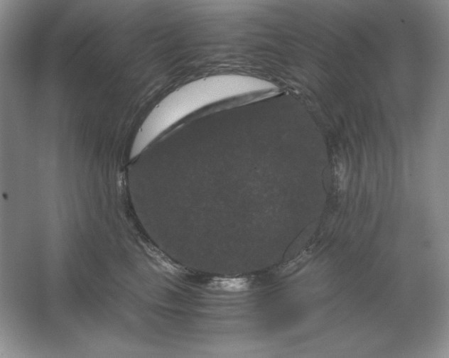 X0000066110665200603241545