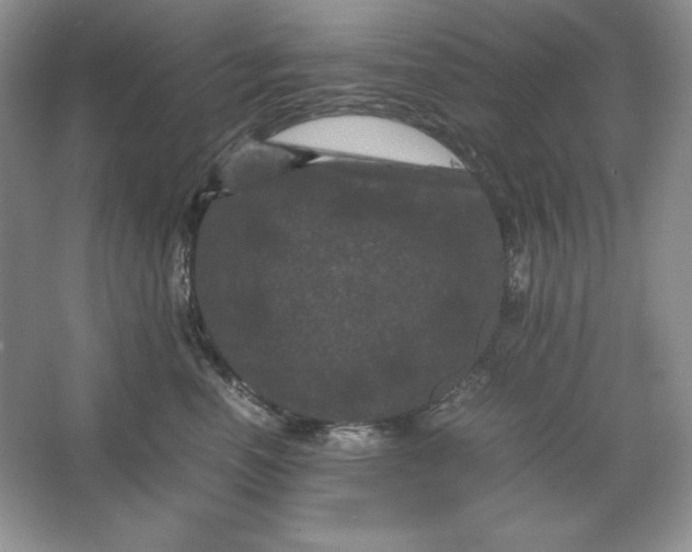 X0000066110666200603241545