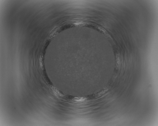 X0000066110667200603241545