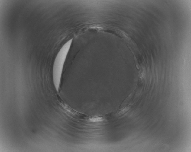 X0000066110669200603241545
