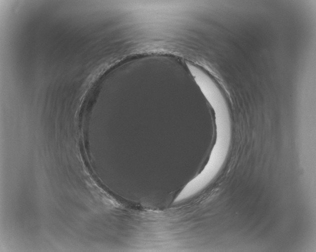 X0000066110673200603241545