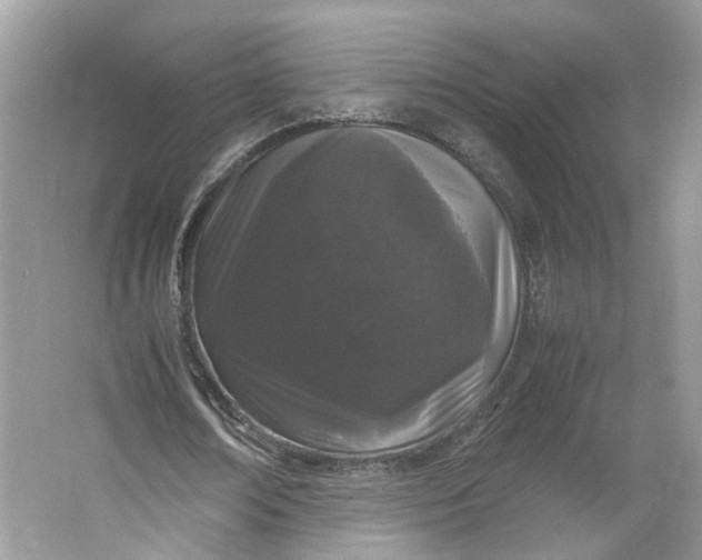 X0000066110674200603241545
