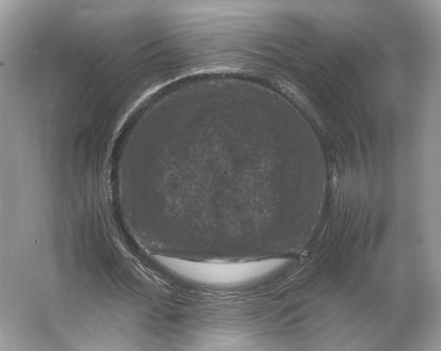 X0000066110676200603241545