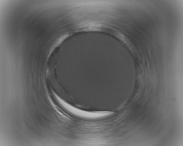 X0000066110677200603241545