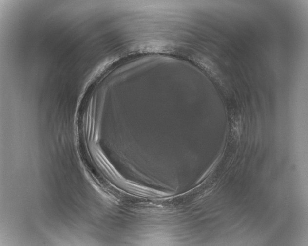 X0000066110678200603241545