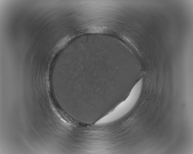X0000066110682200603241545