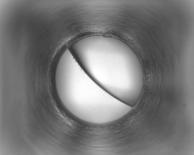 X0000066110688200603241544