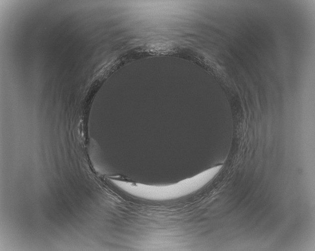 X0000066110689200603241544