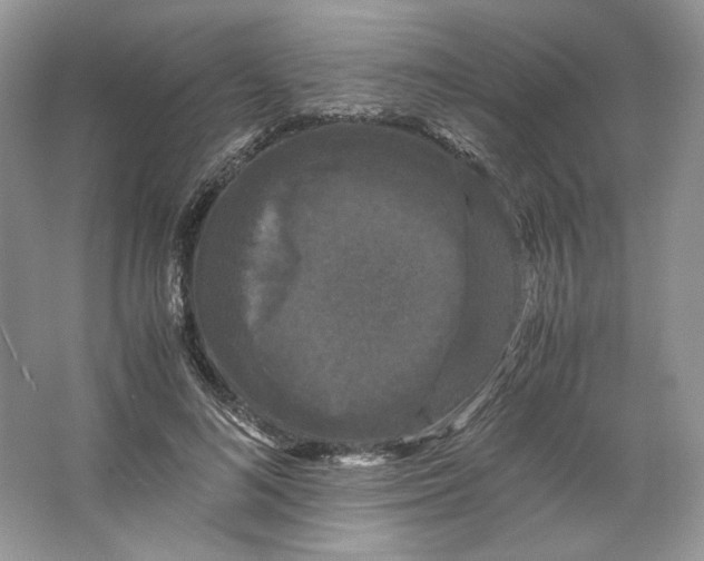 X0000066110692200603241544