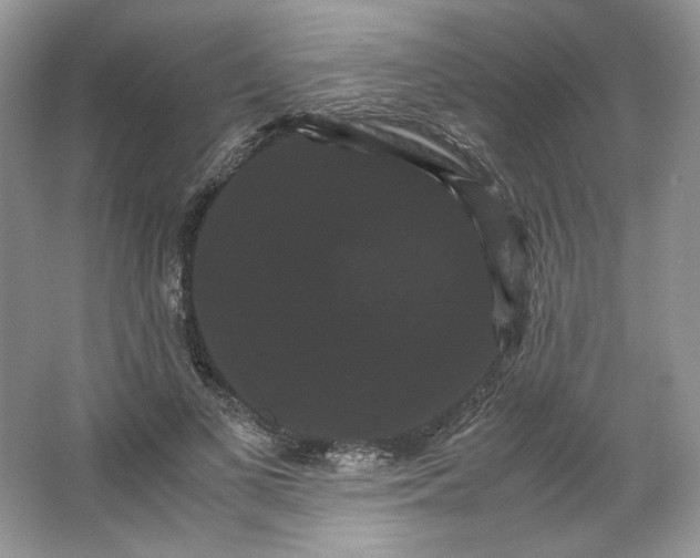 X0000066110693200603241544