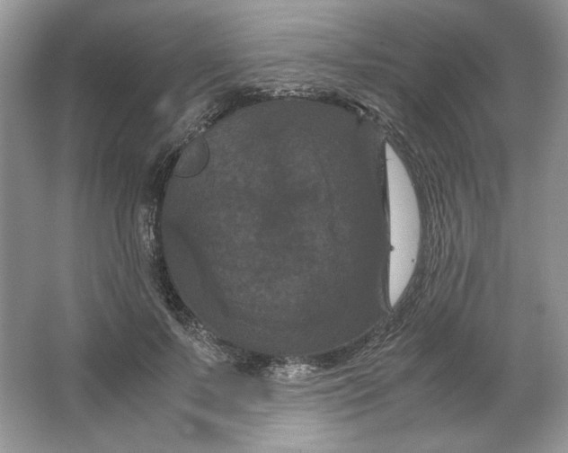 X0000066110695200603241544