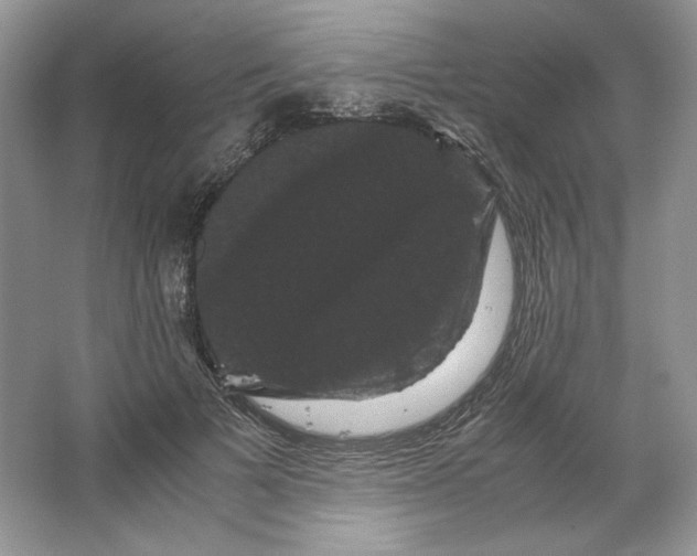 X0000066110697200603241544