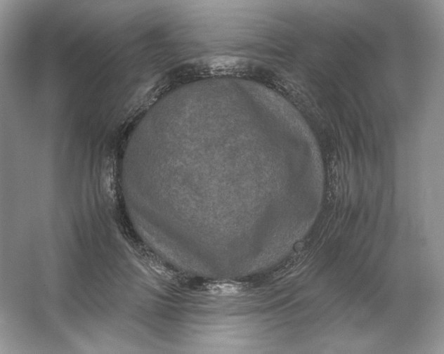 X0000066110698200603241544