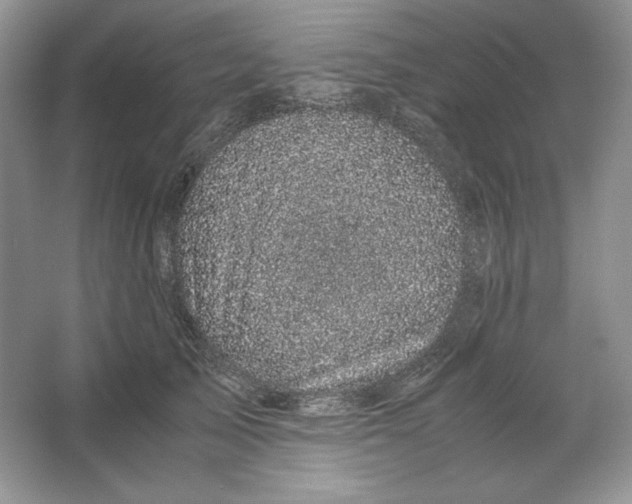 X0000066110705200603241544