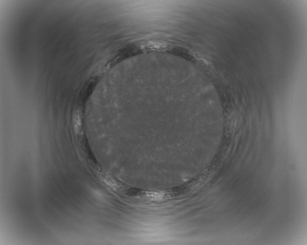 X0000066110709200603241544