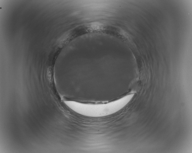X0000066110715200603241544