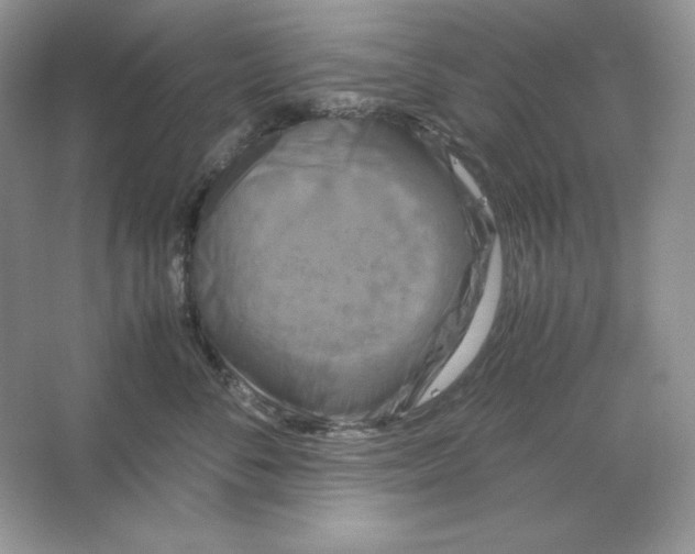 X0000066110716200603241544