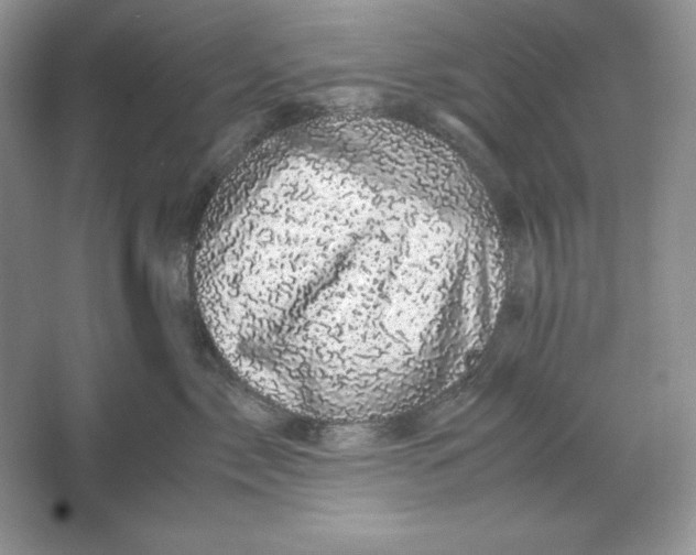 X0000066110717200603241544