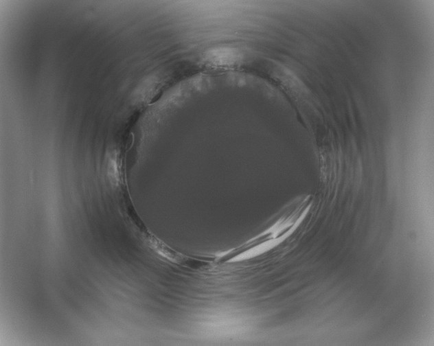 X0000066110718200603241544